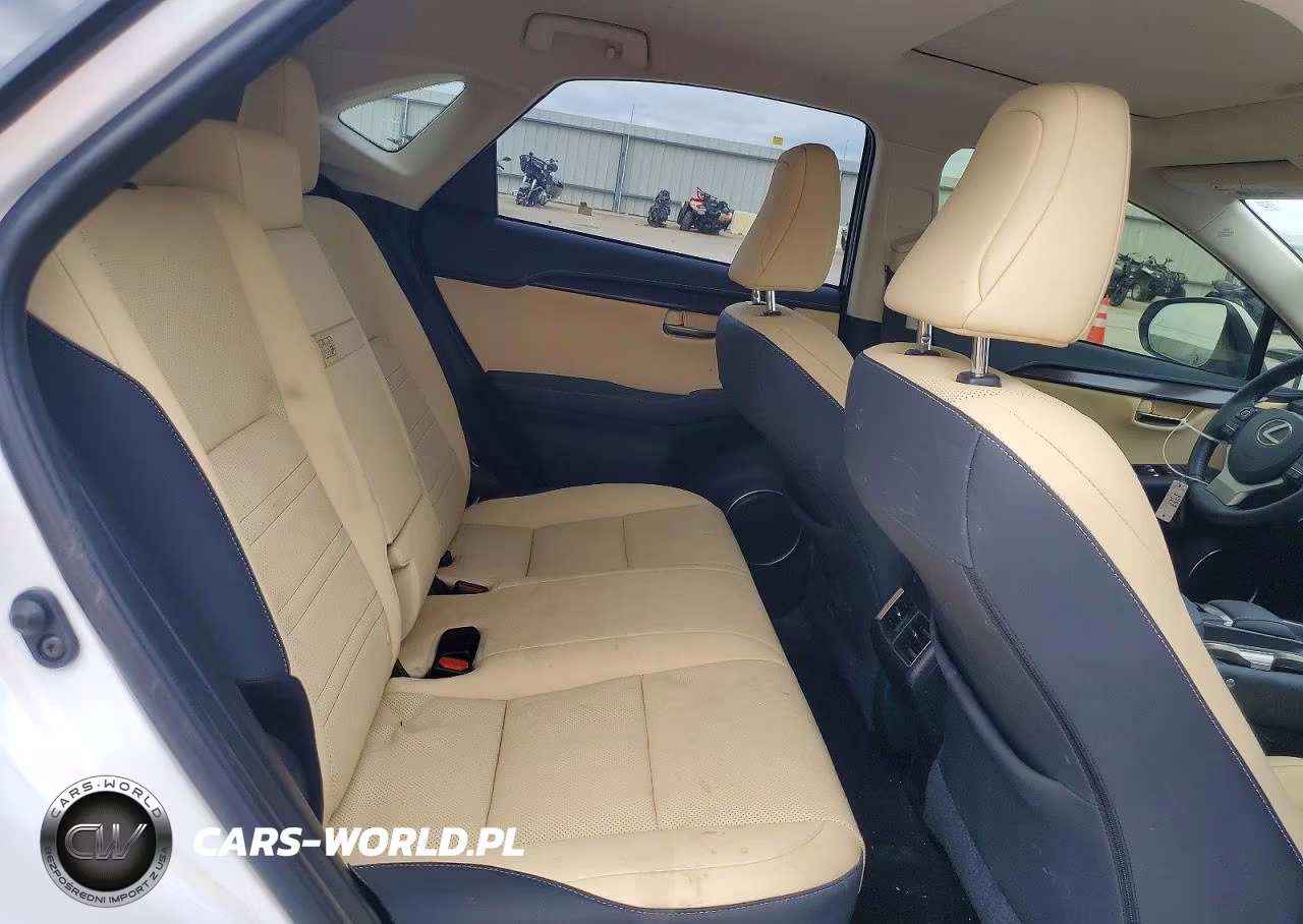 2020 Lexus Nx 300 VIN:JTJGARBZ9L5016987 - 11