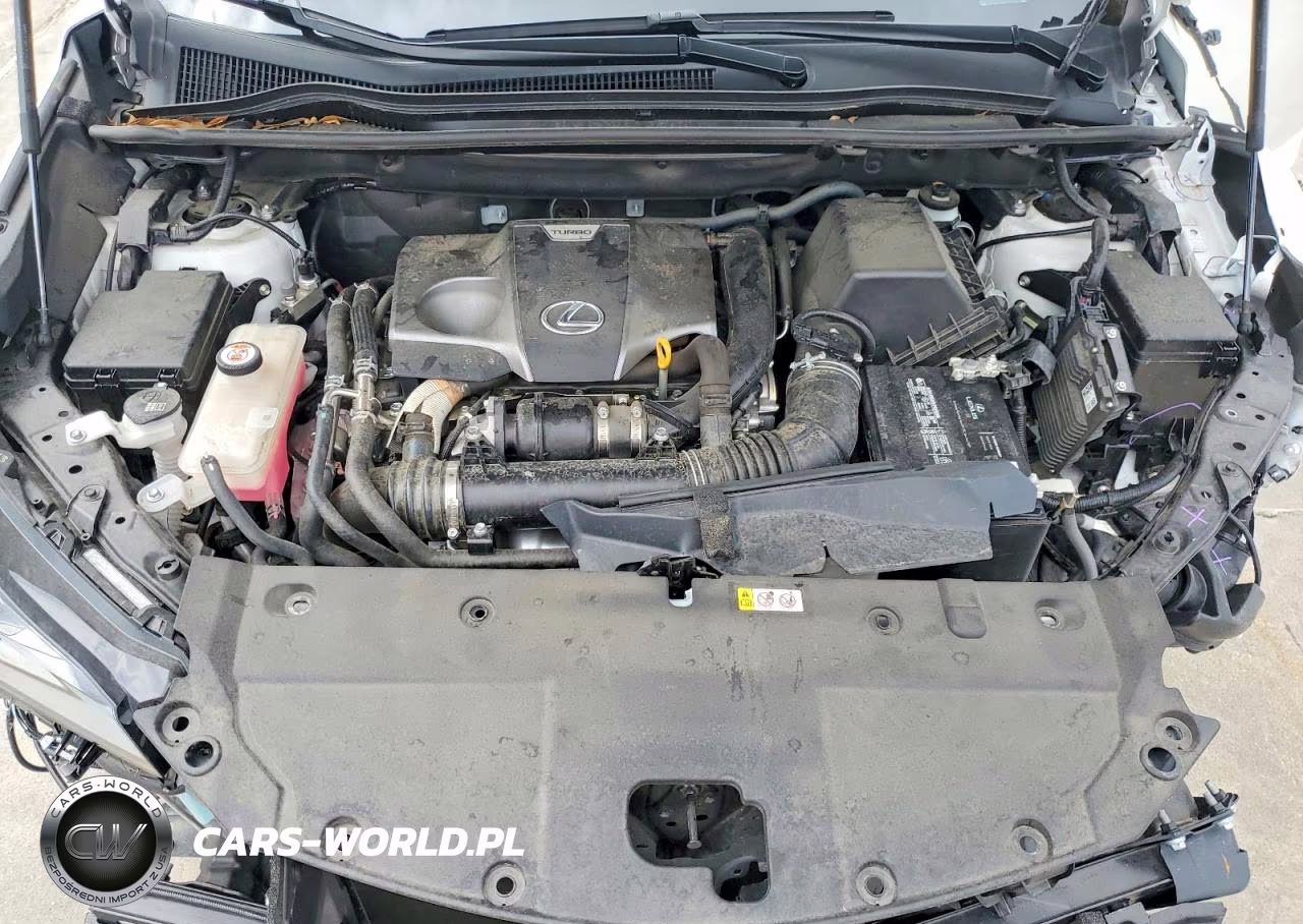 2020 Lexus Nx 300 VIN:JTJGARBZ9L5016987 - 12