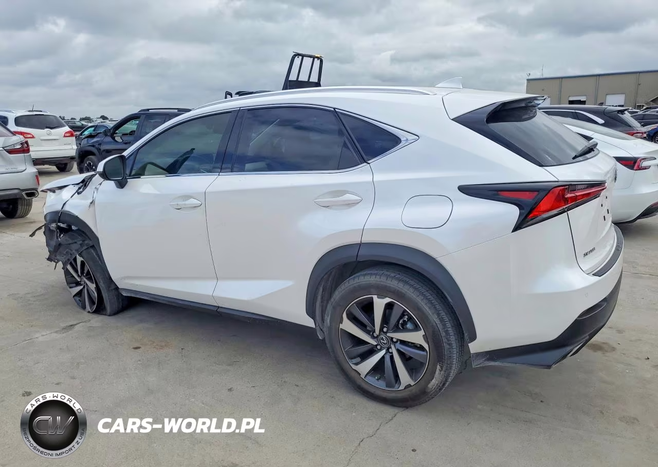 2020 Lexus Nx 300 VIN:JTJGARBZ9L5016987 - 2