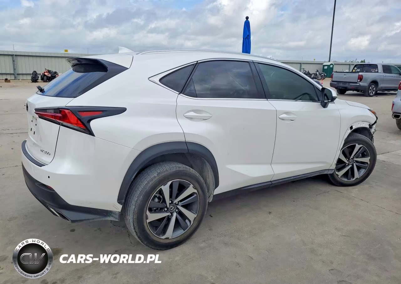 2020 Lexus Nx 300 VIN:JTJGARBZ9L5016987 - 3