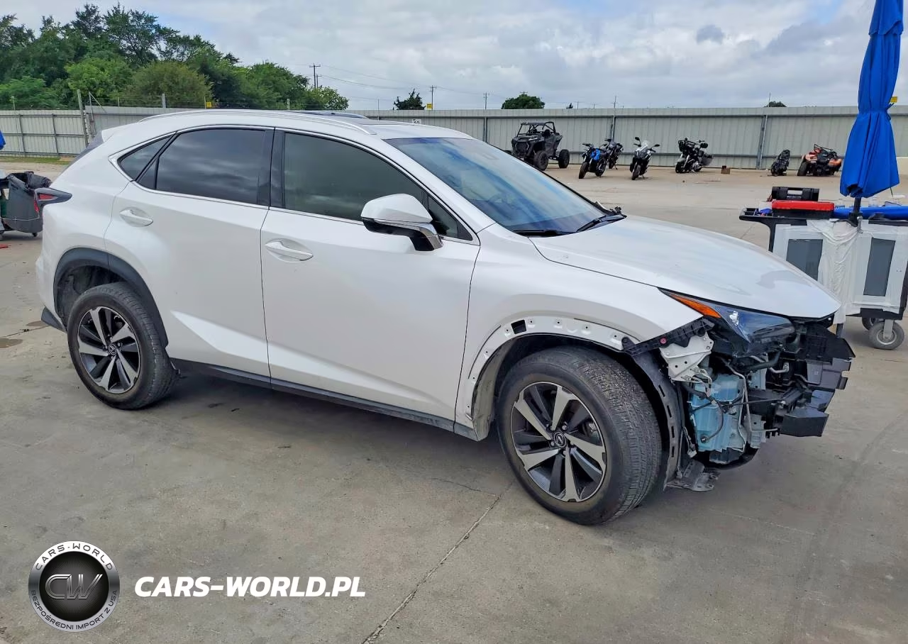 2020 Lexus Nx 300 VIN:JTJGARBZ9L5016987 - 4