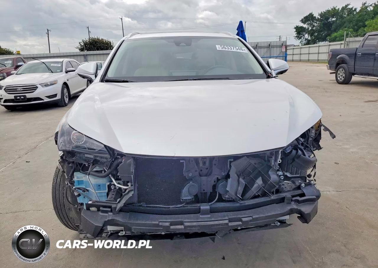 2020 Lexus Nx 300 VIN:JTJGARBZ9L5016987 - 5