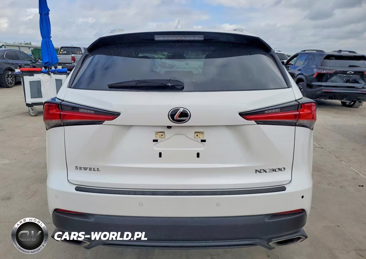 2020 Lexus Nx 300 VIN:JTJGARBZ9L5016987 - 6