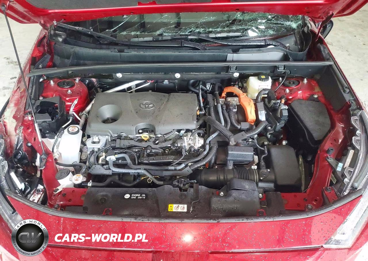 2025 Toyota Rav4 Hybrid Xle VIN:2T3RWRFV9SW294896 - 12