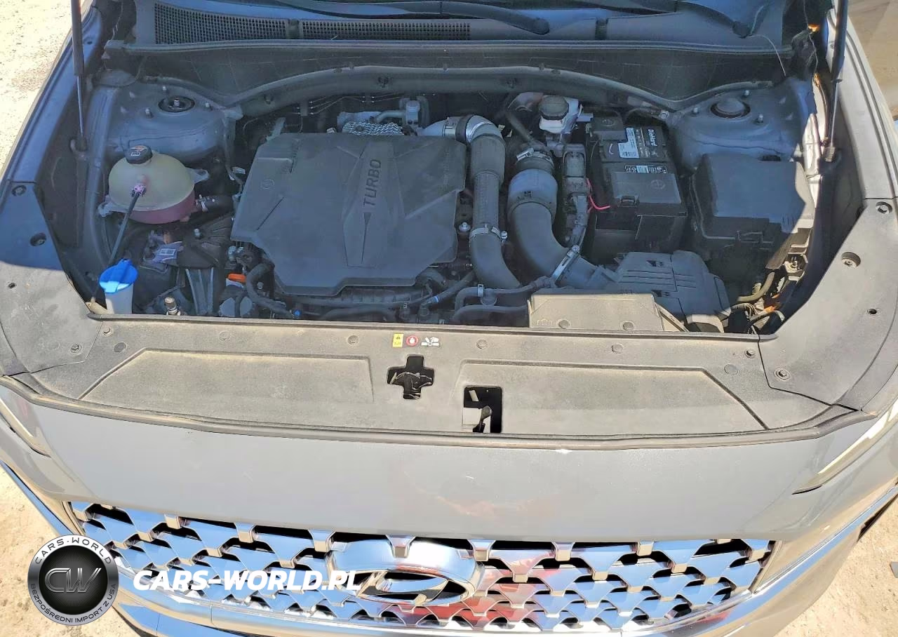 2021 Hyundai Santa Fe Limited VIN:5NMS44AL0MH338419 - 12