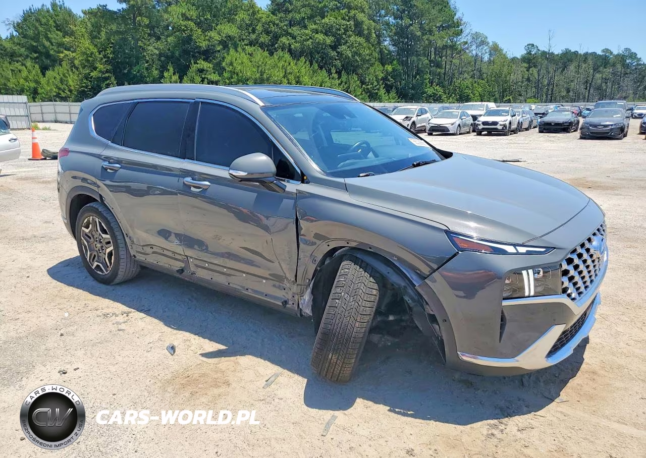 2021 Hyundai Santa Fe Limited VIN:5NMS44AL0MH338419 - 4