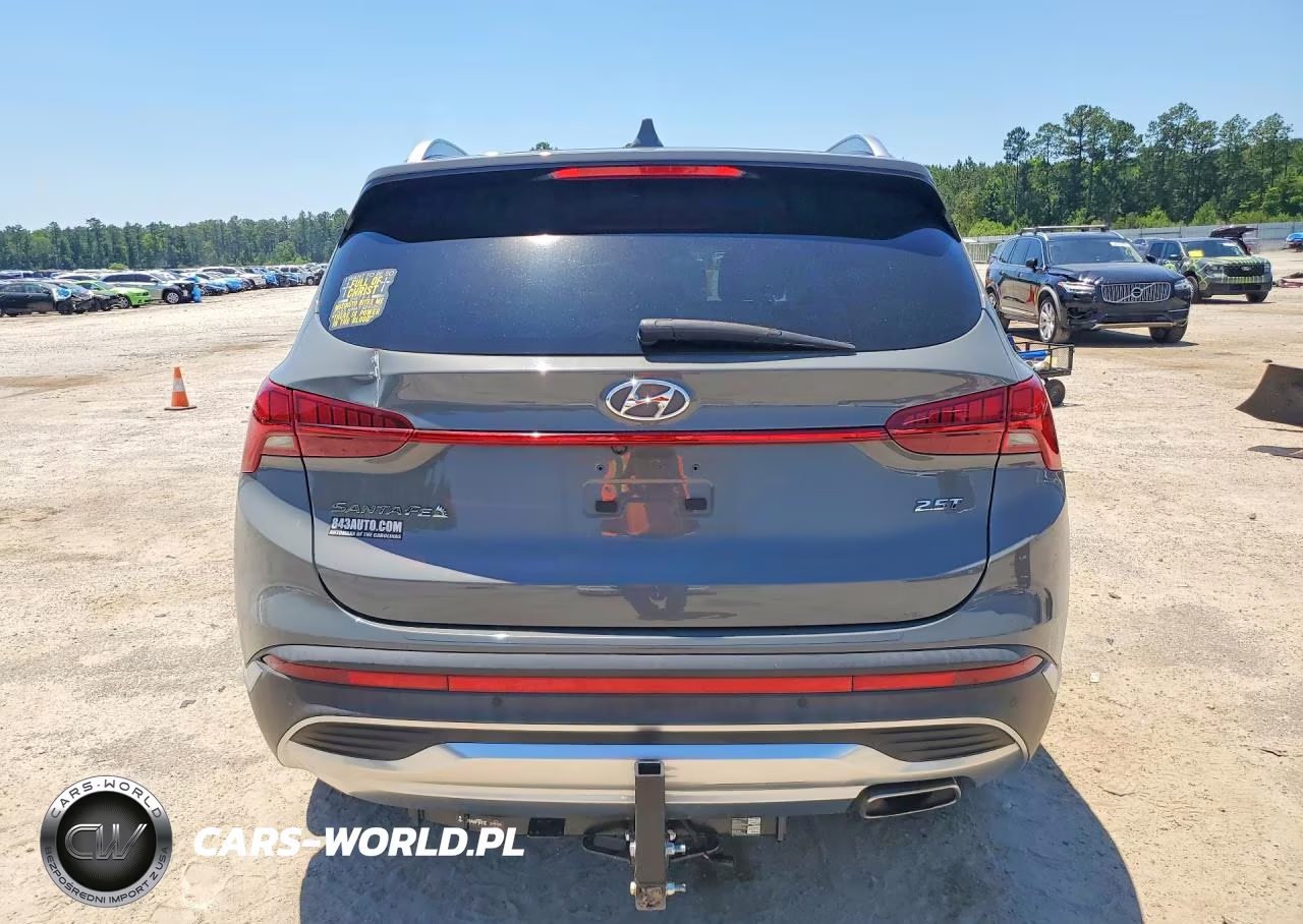 2021 Hyundai Santa Fe Limited VIN:5NMS44AL0MH338419 - 6