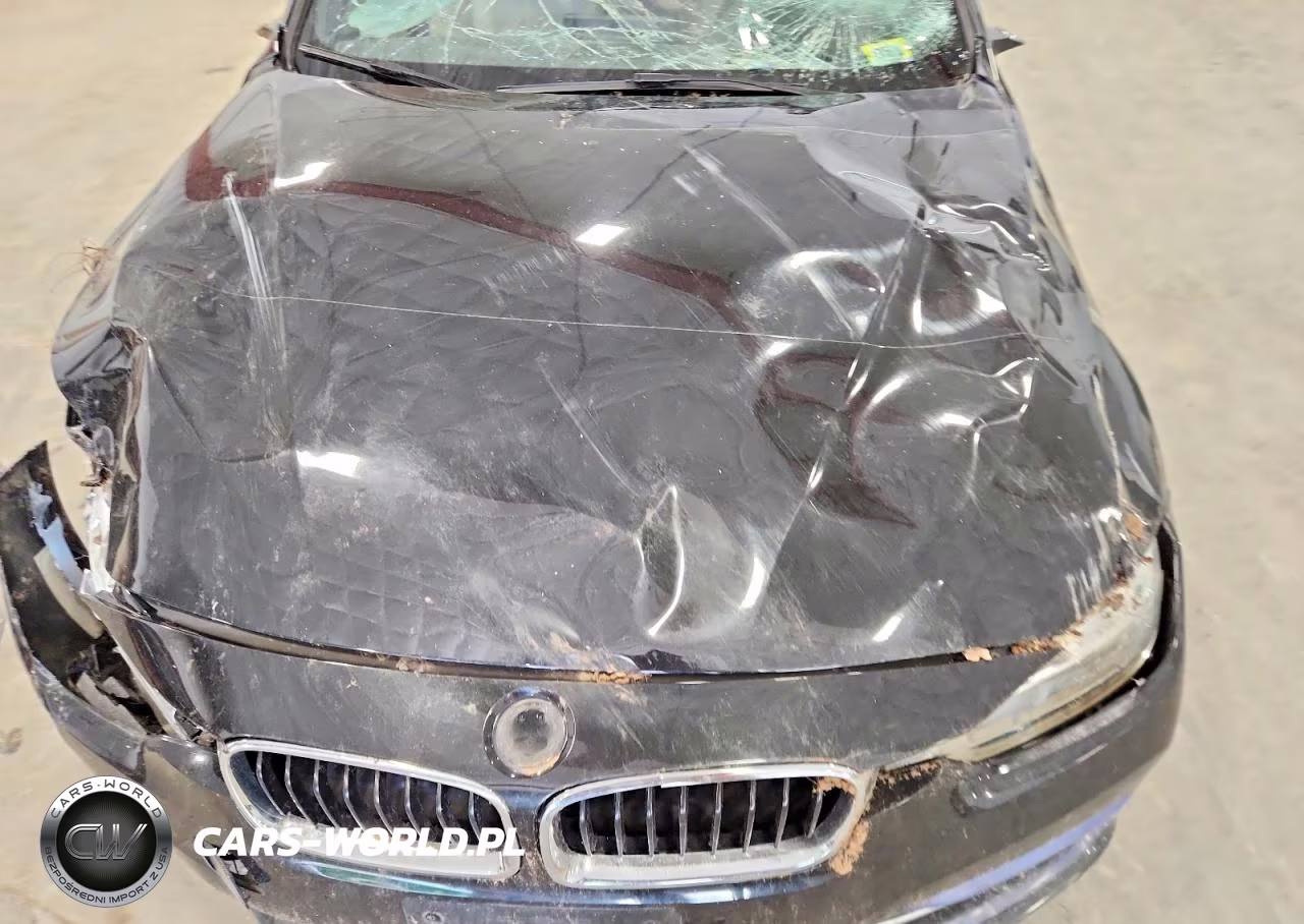 2018 BMW 328 D xDrive VIN:WBA8J1C54JA019219 - 12