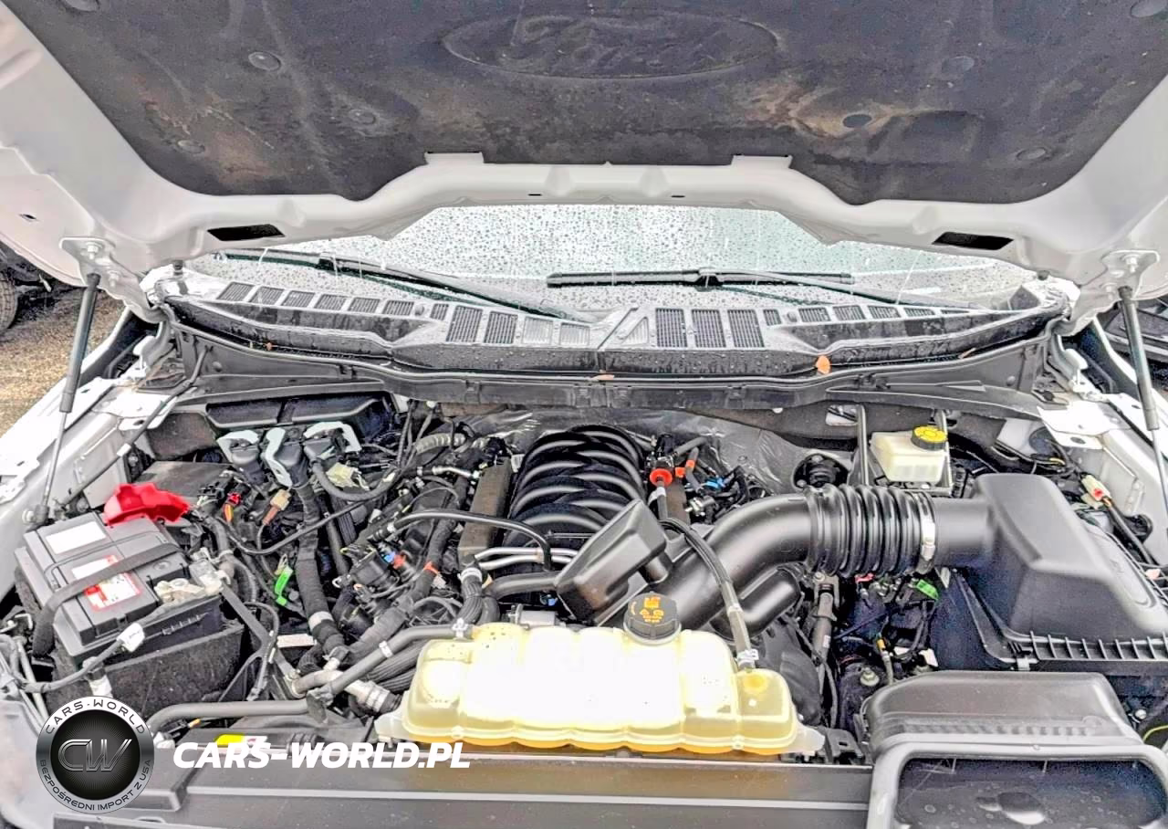 2023 Ford F150 Supercrew VIN:1FTFW1E53PFB25777 - 7