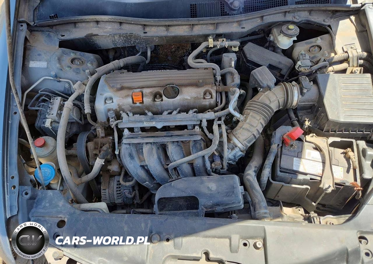 2010 Honda Accord Lxp VIN:1HGCP2F40AA026304 - 11