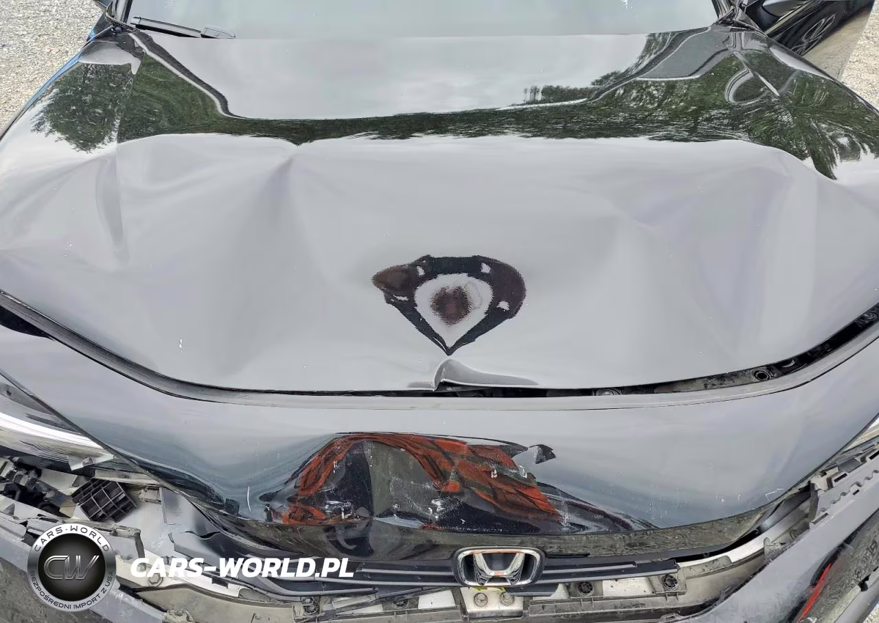2022 Honda Civic Sport VIN:2HGFE2F53NH560030 - 11