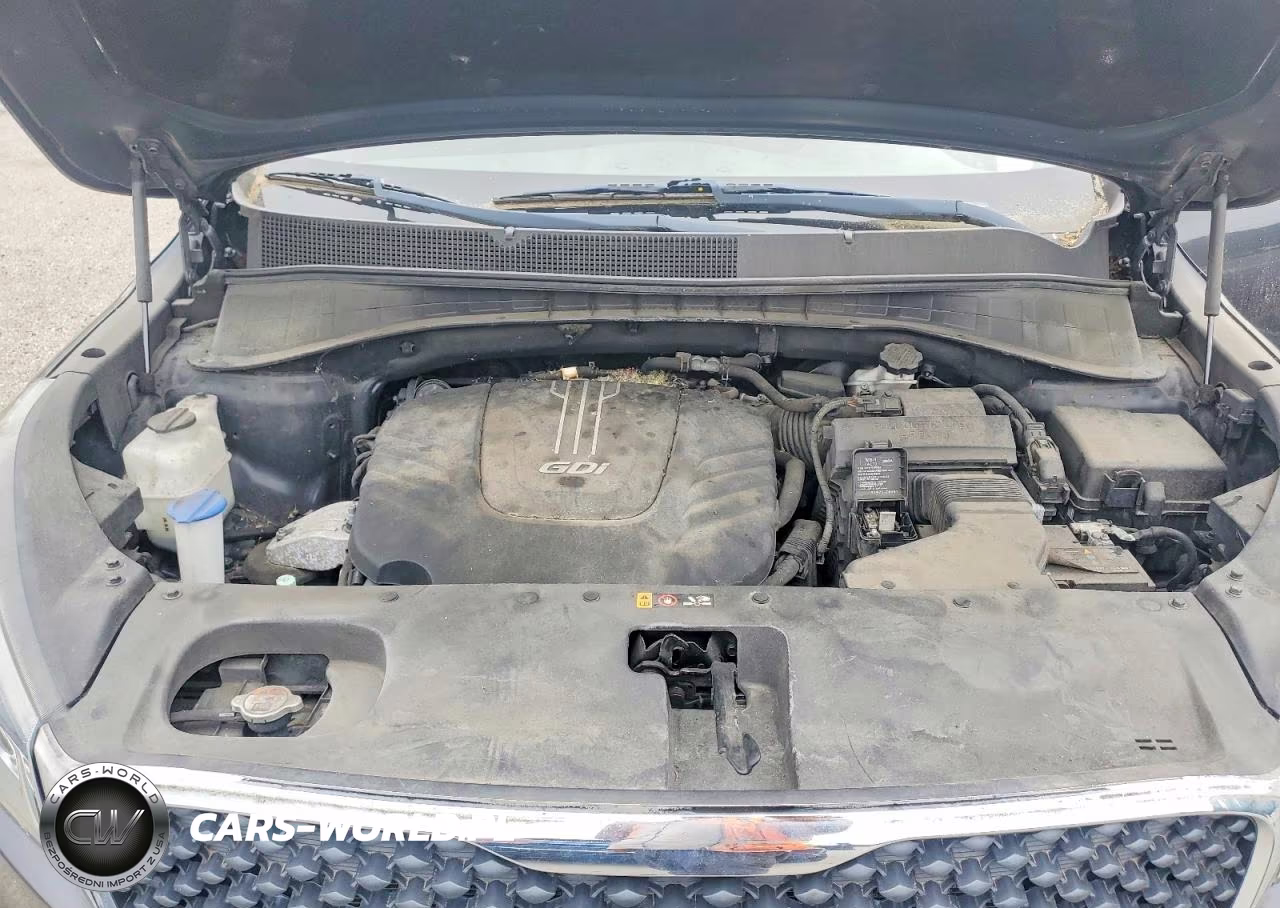 2017 Kia Sorento Lx V6 VIN:5XYPGDA51HG293294 - 12