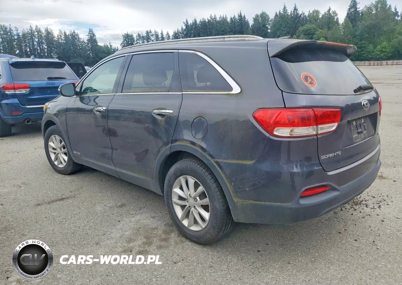 2017 Kia Sorento Lx V6 VIN:5XYPGDA51HG293294 - 2