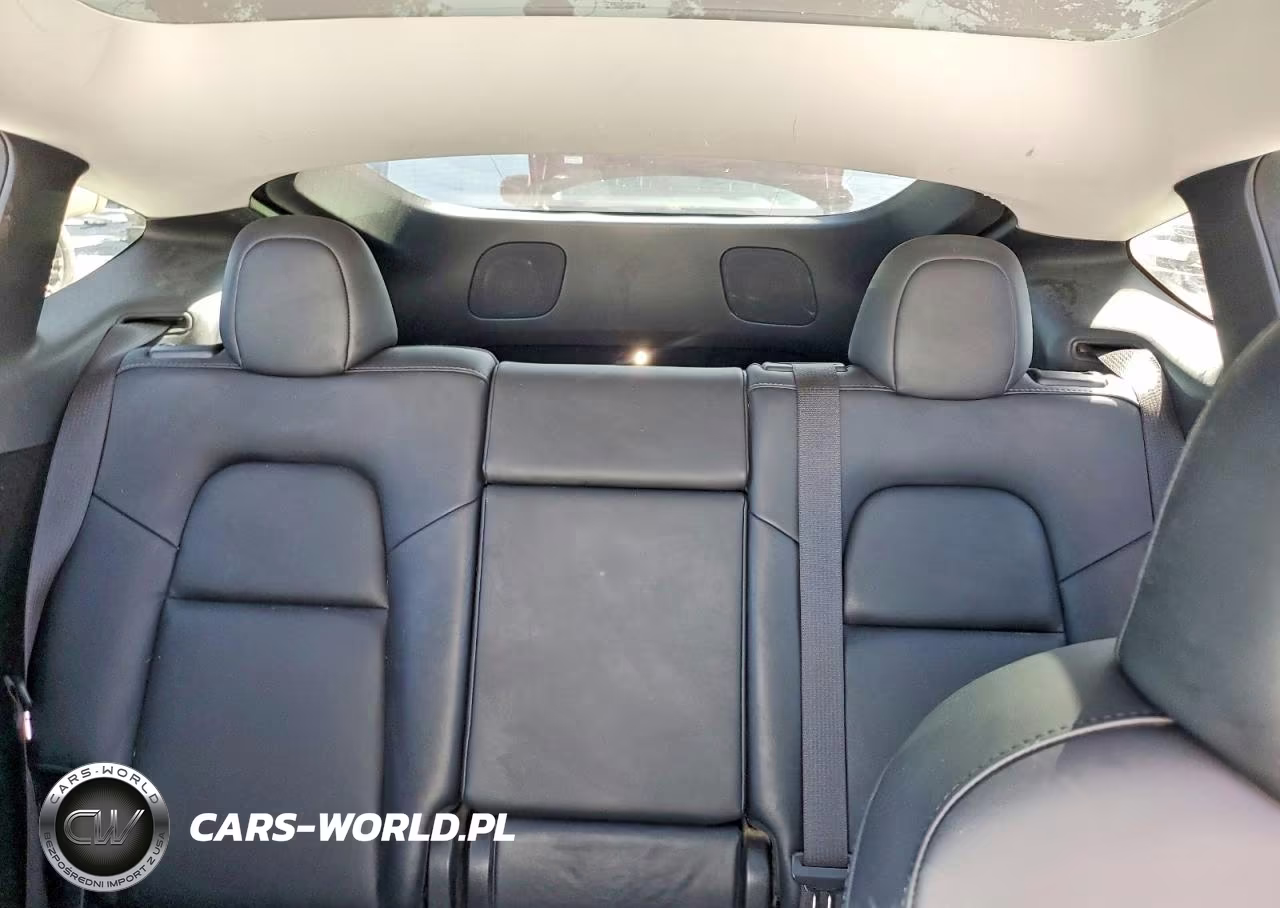 2023 Tesla Model Y VIN:7SAYGDEE4PF786989 - 10