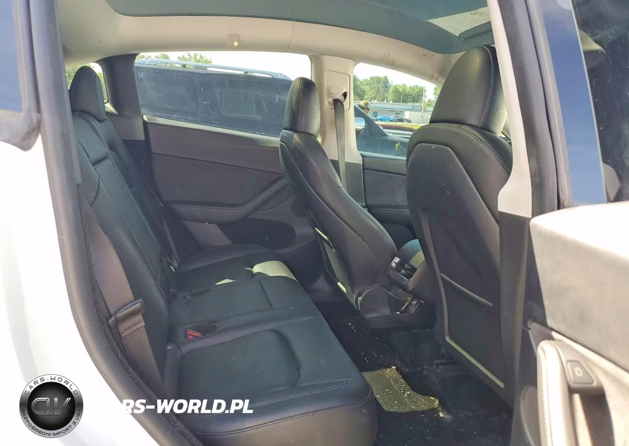 2023 Tesla Model Y VIN:7SAYGDEE4PF786989 - 11