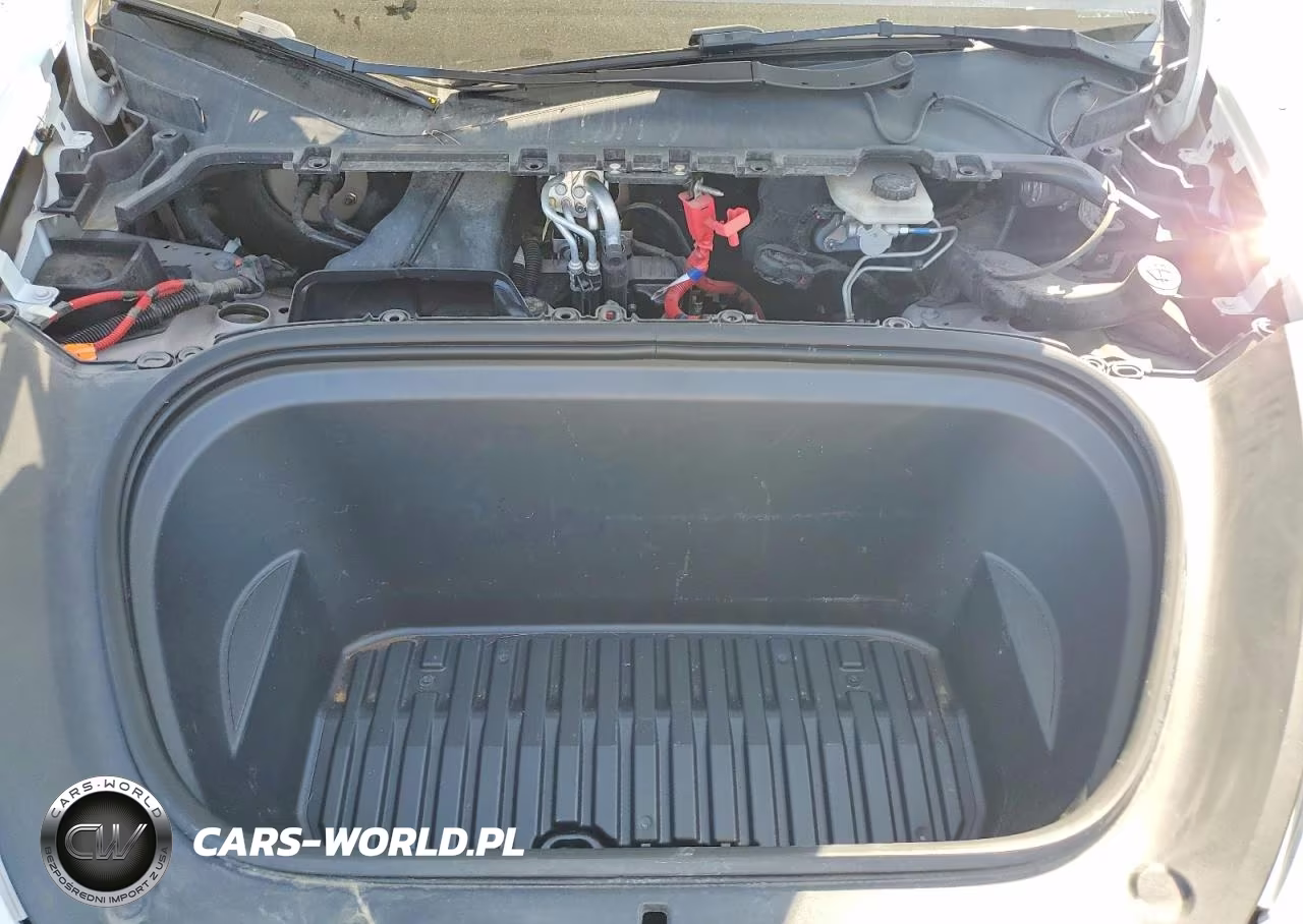 2023 Tesla Model Y VIN:7SAYGDEE4PF786989 - 12