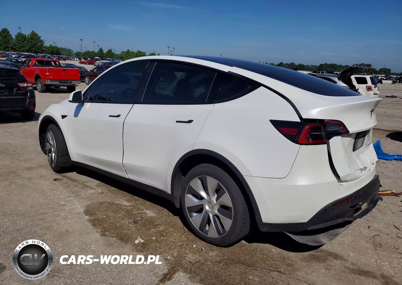 2023 Tesla Model Y VIN:7SAYGDEE4PF786989 - 2