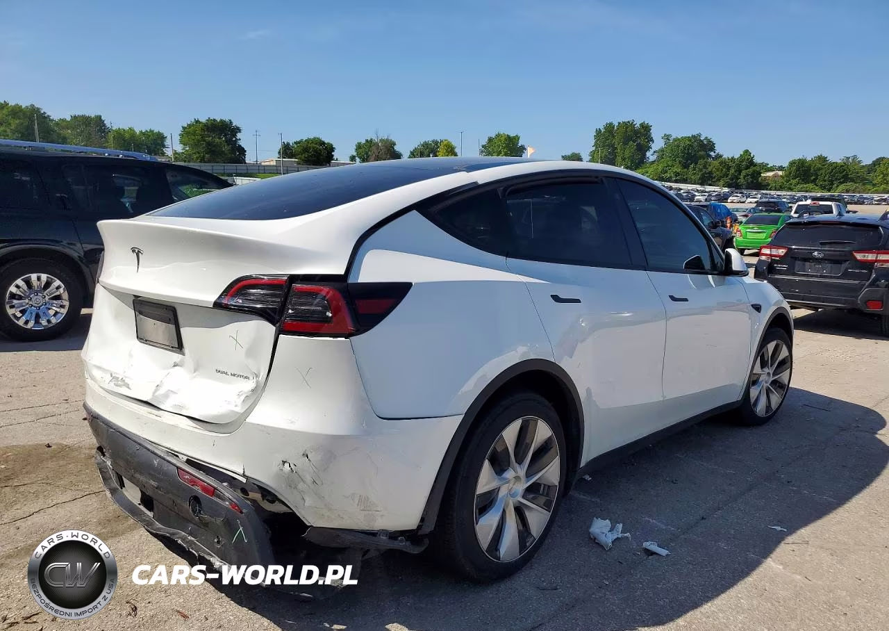 2023 Tesla Model Y VIN:7SAYGDEE4PF786989 - 3