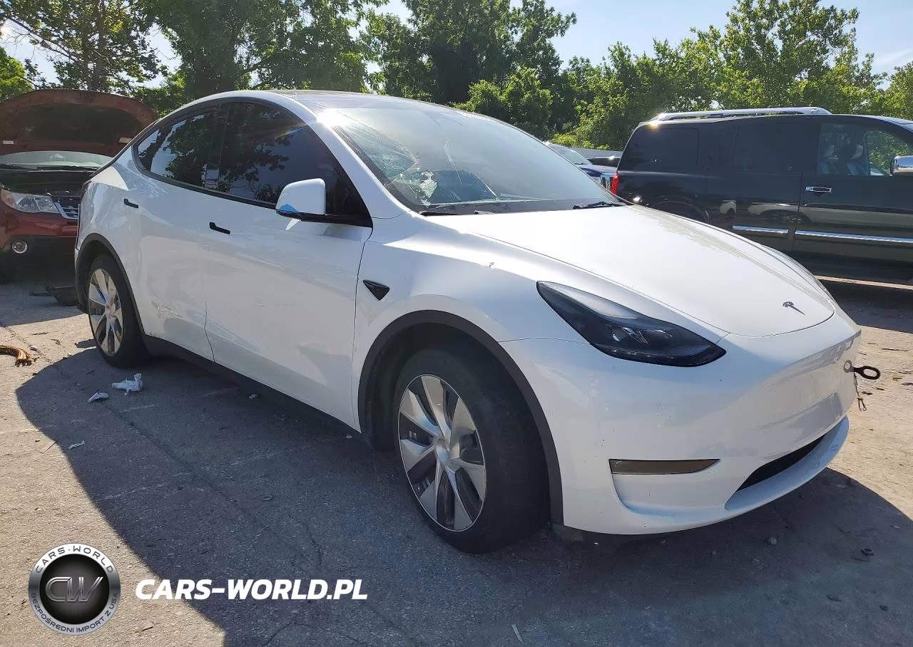 2023 Tesla Model Y VIN:7SAYGDEE4PF786989 - 4