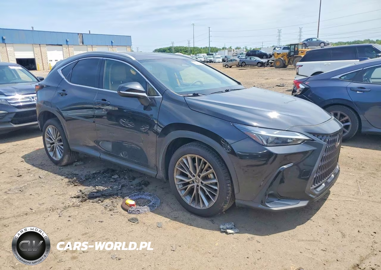 2022 Lexus Nx 350 VIN:2T2GGCEZ4NC001034 - 4