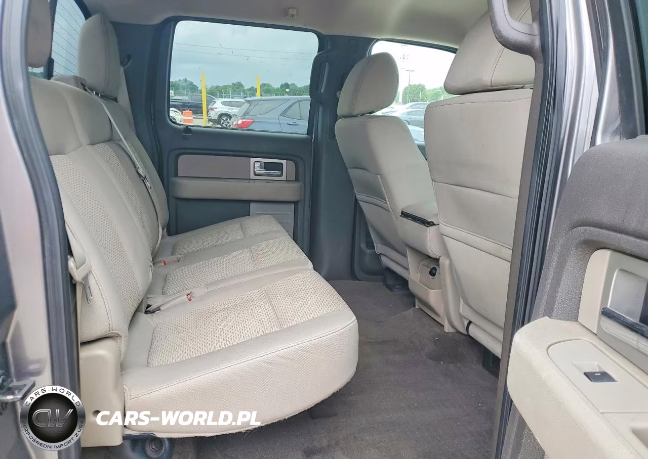 2010 Ford F150 Supercrew VIN:1FTEW1E87AFD85175 - 10