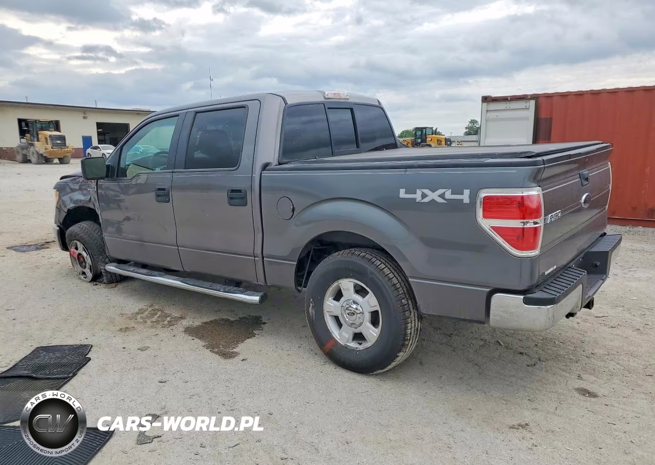 2010 Ford F150 Supercrew VIN:1FTEW1E87AFD85175 - 2