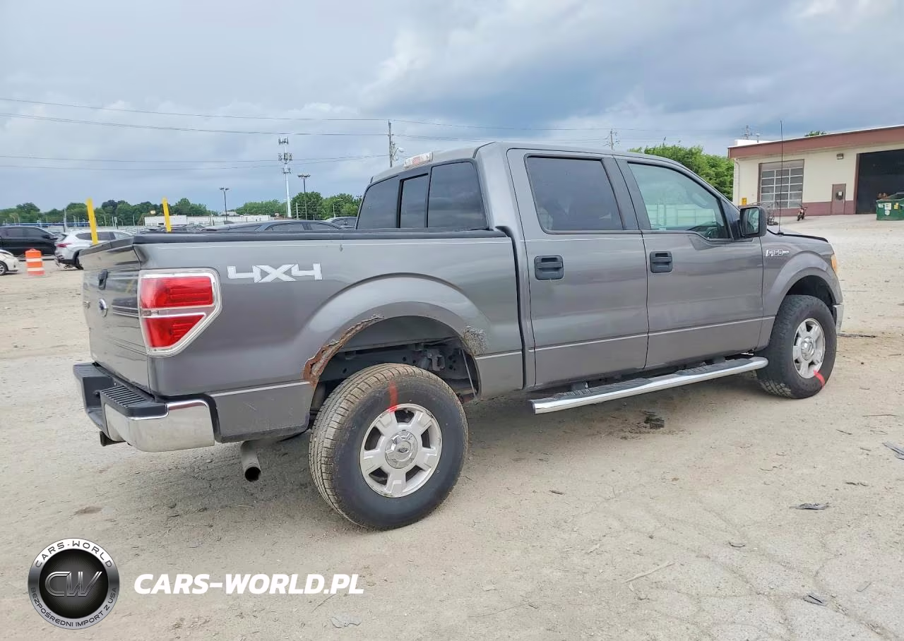 2010 Ford F150 Supercrew VIN:1FTEW1E87AFD85175 - 3