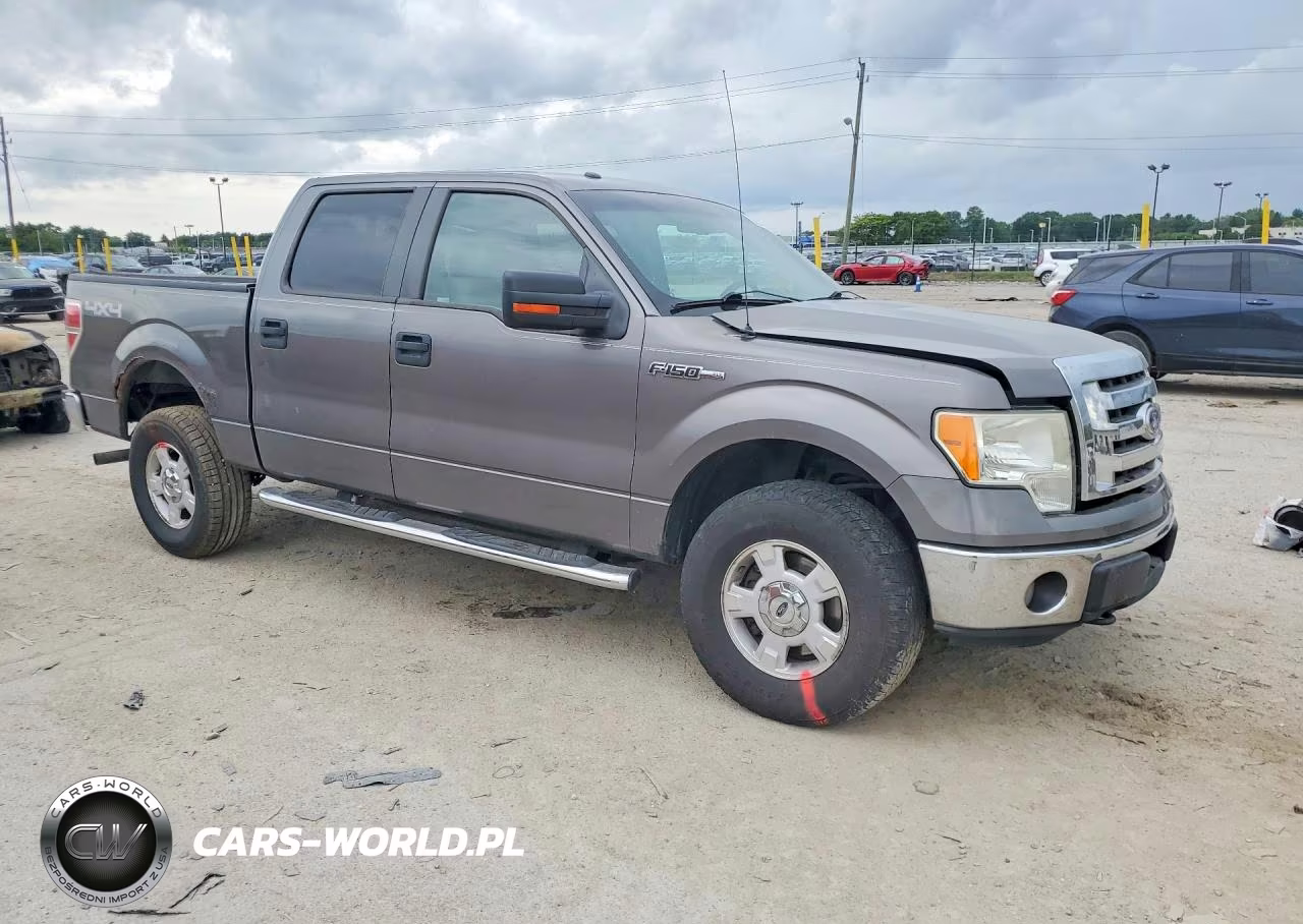 2010 Ford F150 Supercrew VIN:1FTEW1E87AFD85175 - 4