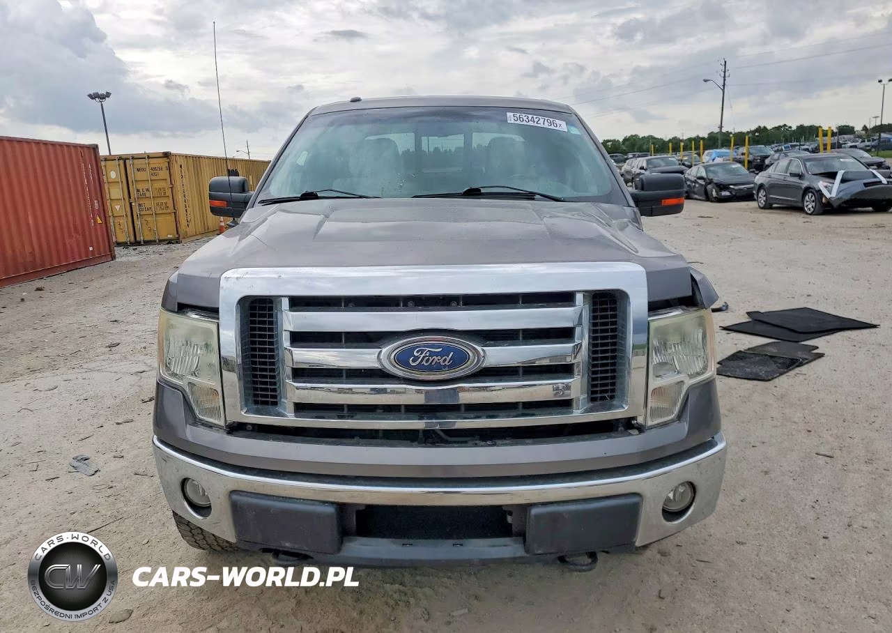2010 Ford F150 Supercrew VIN:1FTEW1E87AFD85175 - 5
