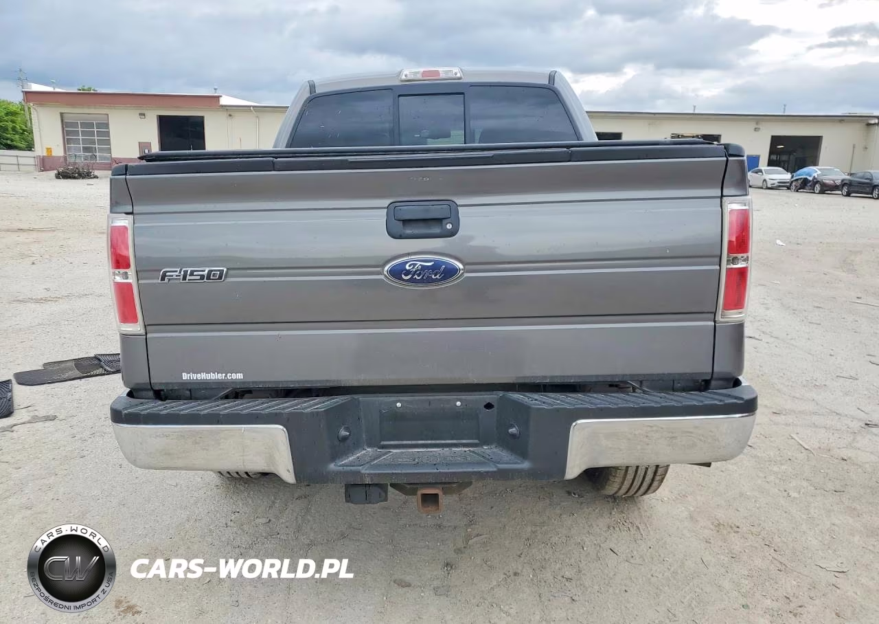 2010 Ford F150 Supercrew VIN:1FTEW1E87AFD85175 - 6