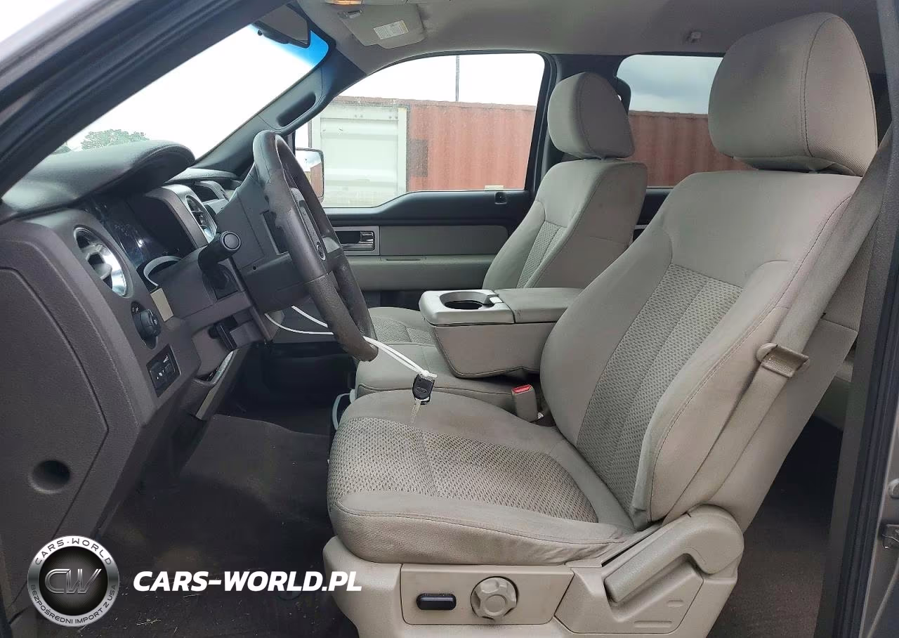 2010 Ford F150 Supercrew VIN:1FTEW1E87AFD85175 - 7