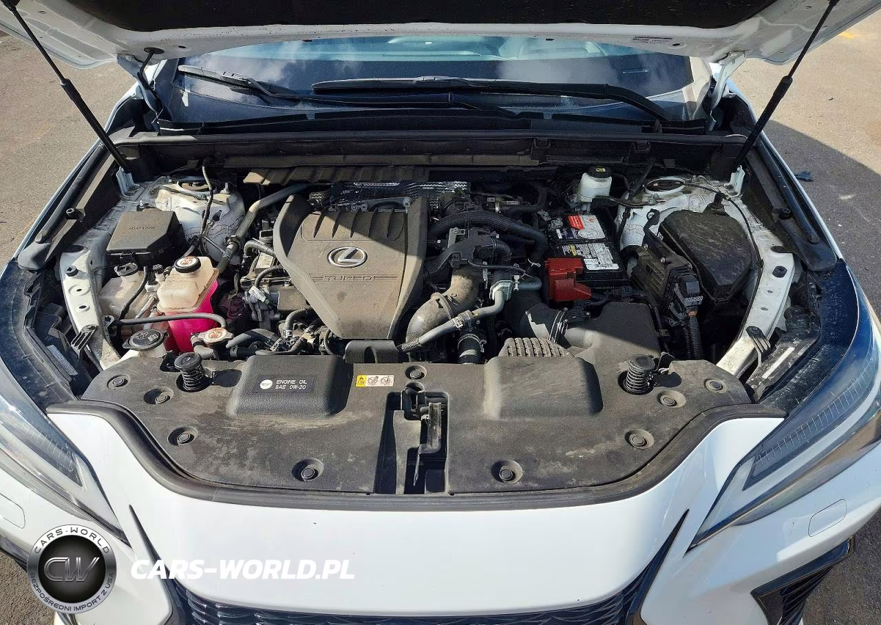 2022 Lexus Nx 350 VIN:JTJKGCEZ2N2002709 - 12