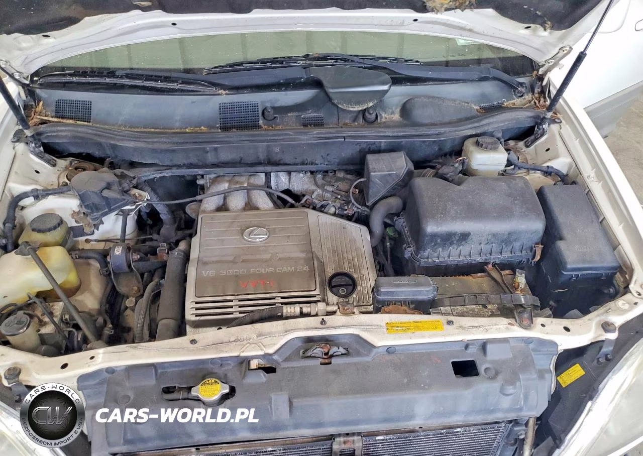 2001 Lexus Rx 300 VIN:JTJHF10U210228431 - 12