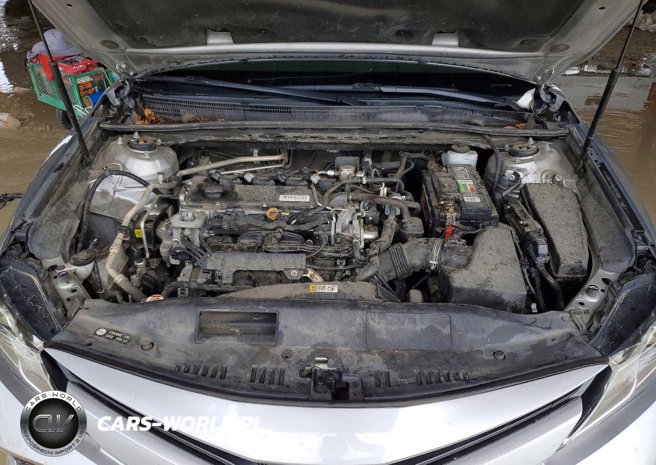2019 Toyota Camry Le VIN:4T1B11HK3KU800400 - 11