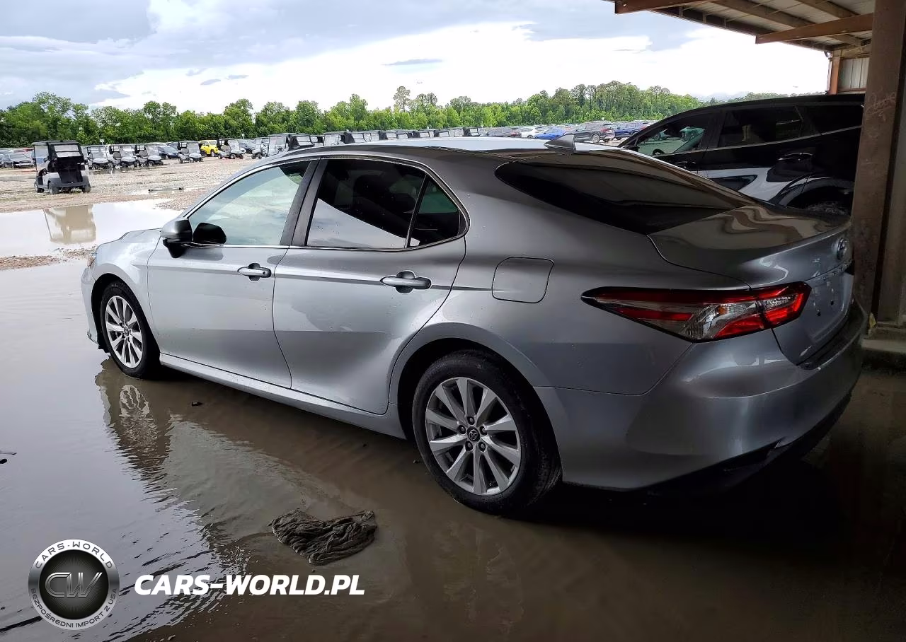 2019 Toyota Camry Le VIN:4T1B11HK3KU800400 - 2