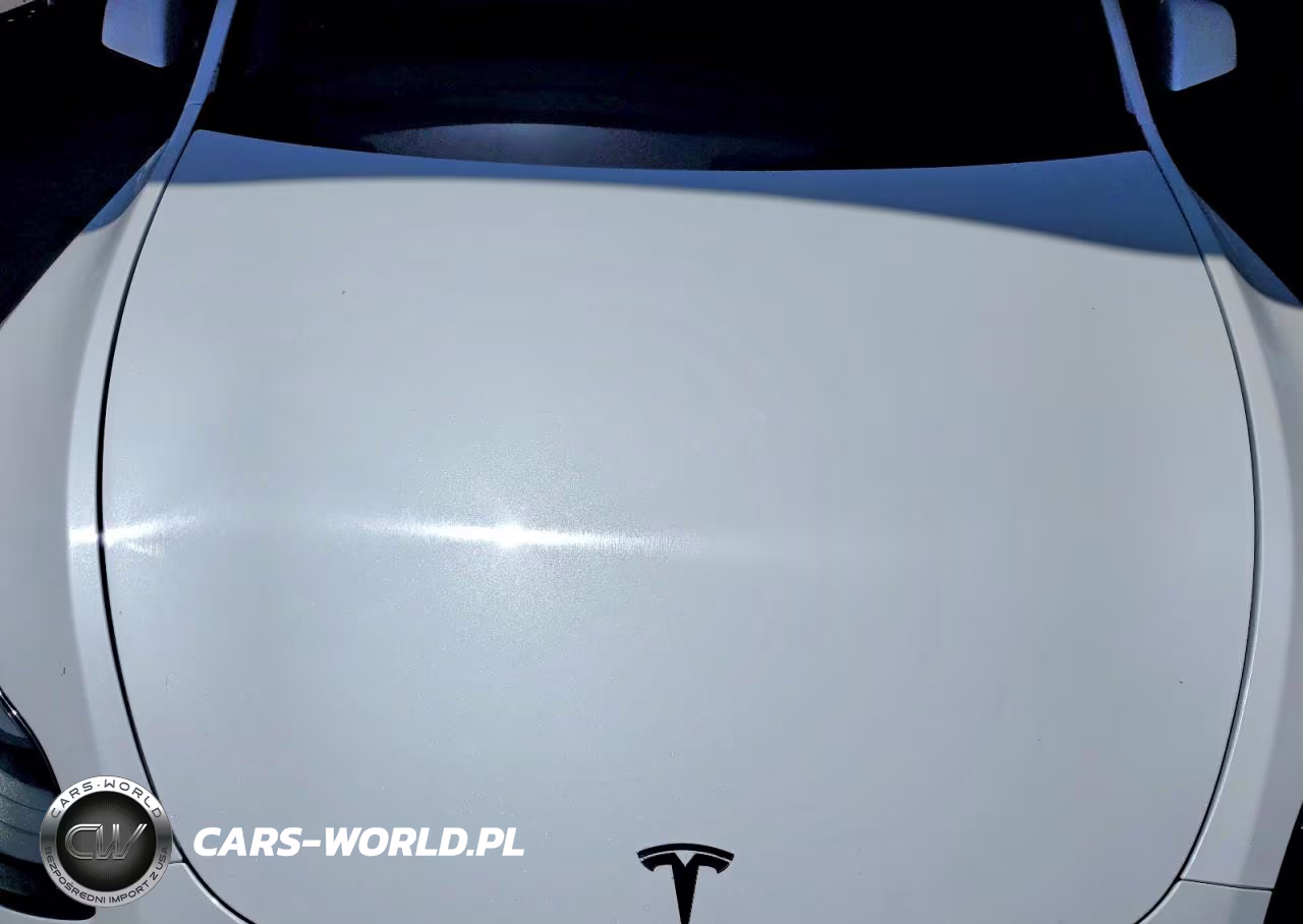 2023 Tesla Model Y VIN:7SAYGDEE0PF637124 - 11
