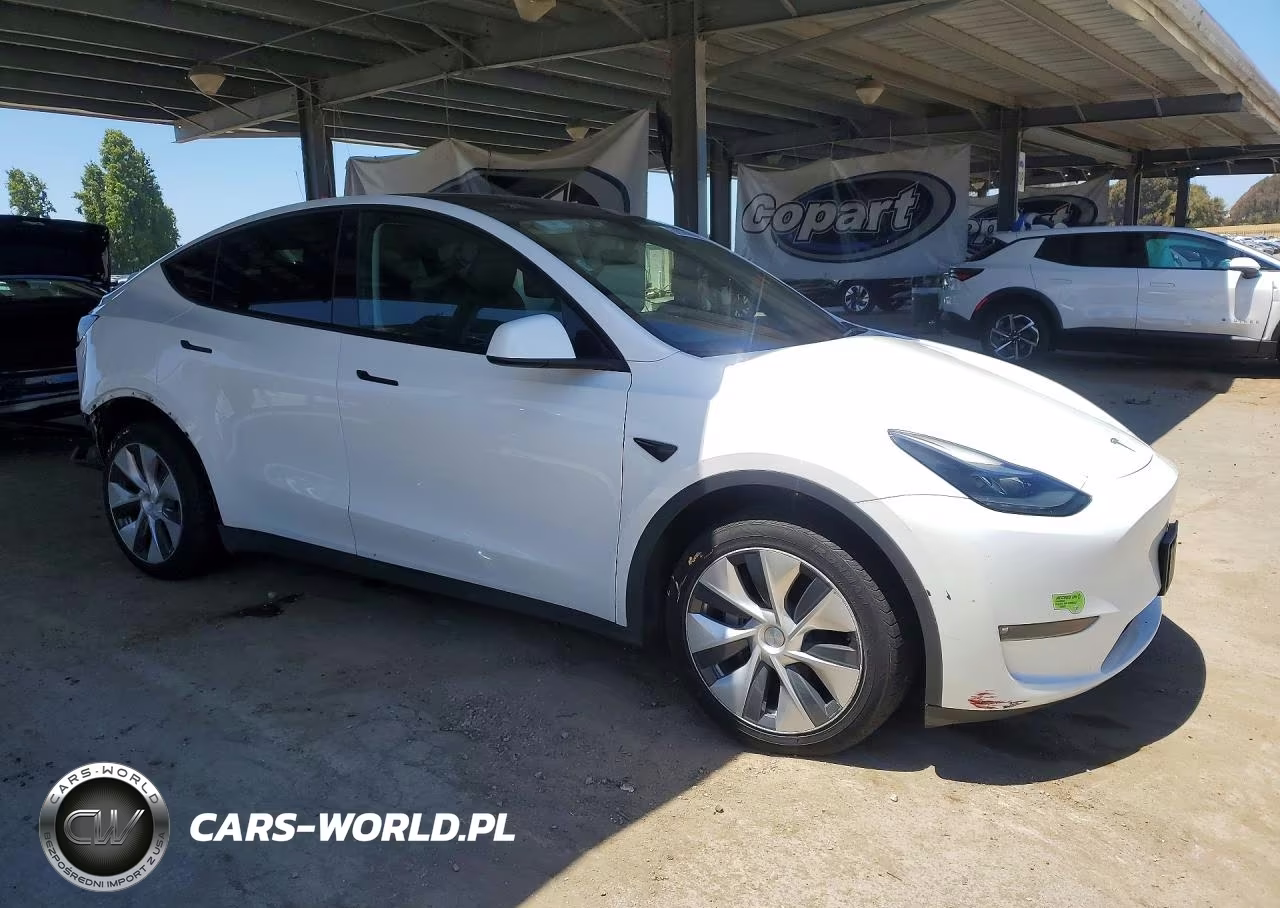 2023 Tesla Model Y VIN:7SAYGDEE0PF637124 - 4