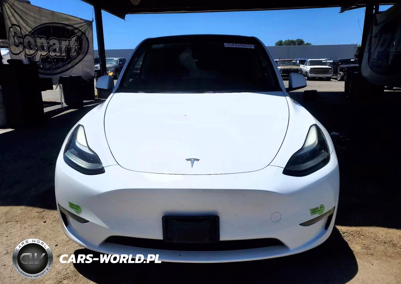 2023 Tesla Model Y VIN:7SAYGDEE0PF637124 - 5