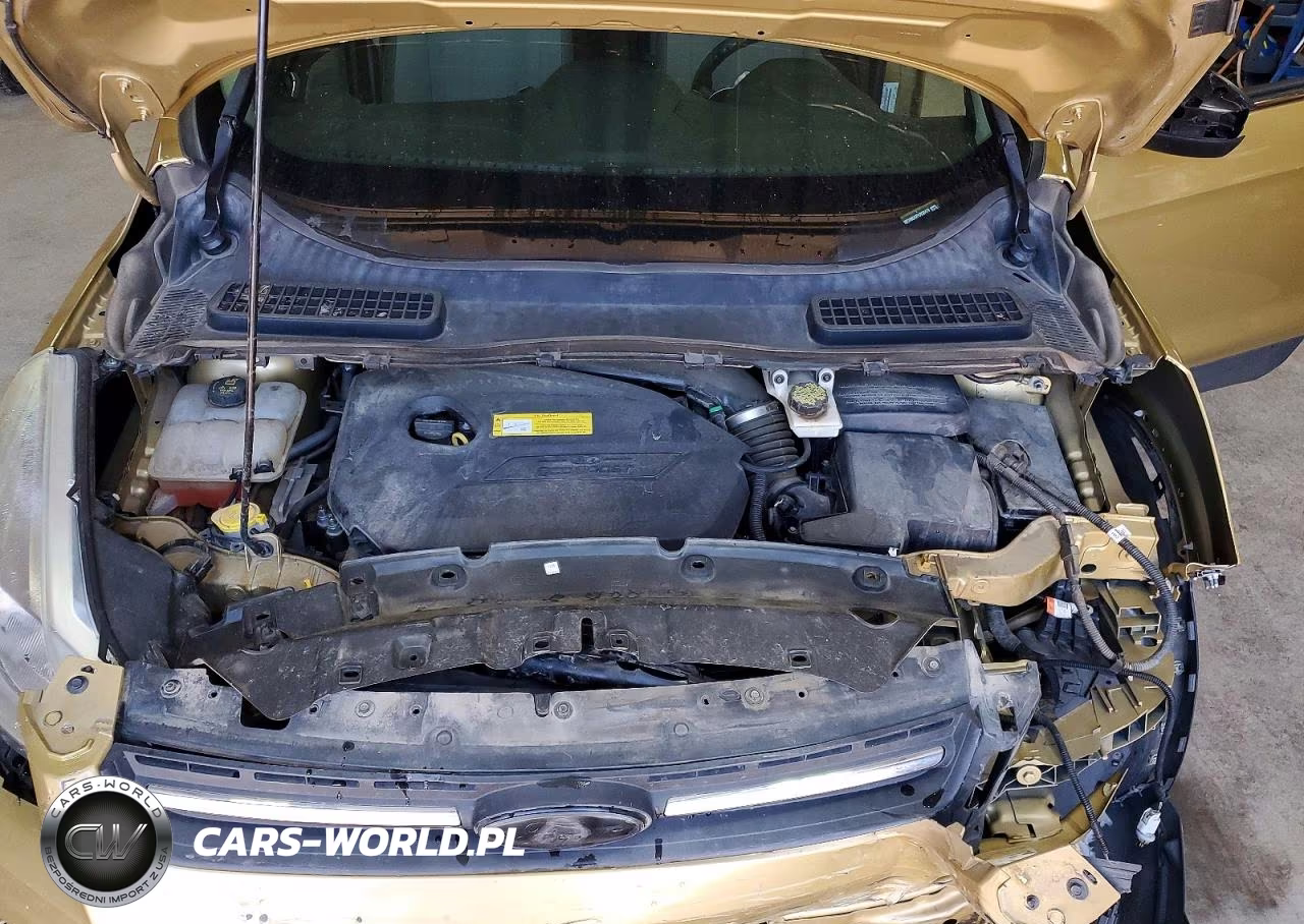 2015 Ford Escape Se VIN:1FMCU9GX2FUB30478 - 12