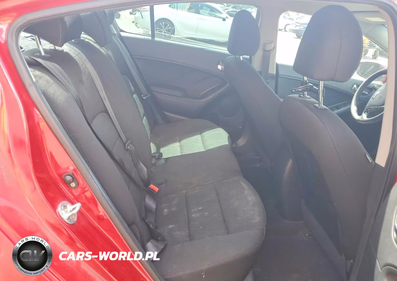 2016 Kia Forte Lx VIN:KNAFK4A64G5566106 - 10