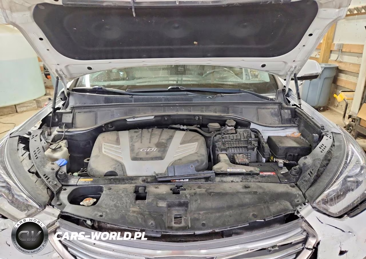 2018 Hyundai Santa Fe Se Ultimate VIN:KM8SR4HF2JU258685 - 12