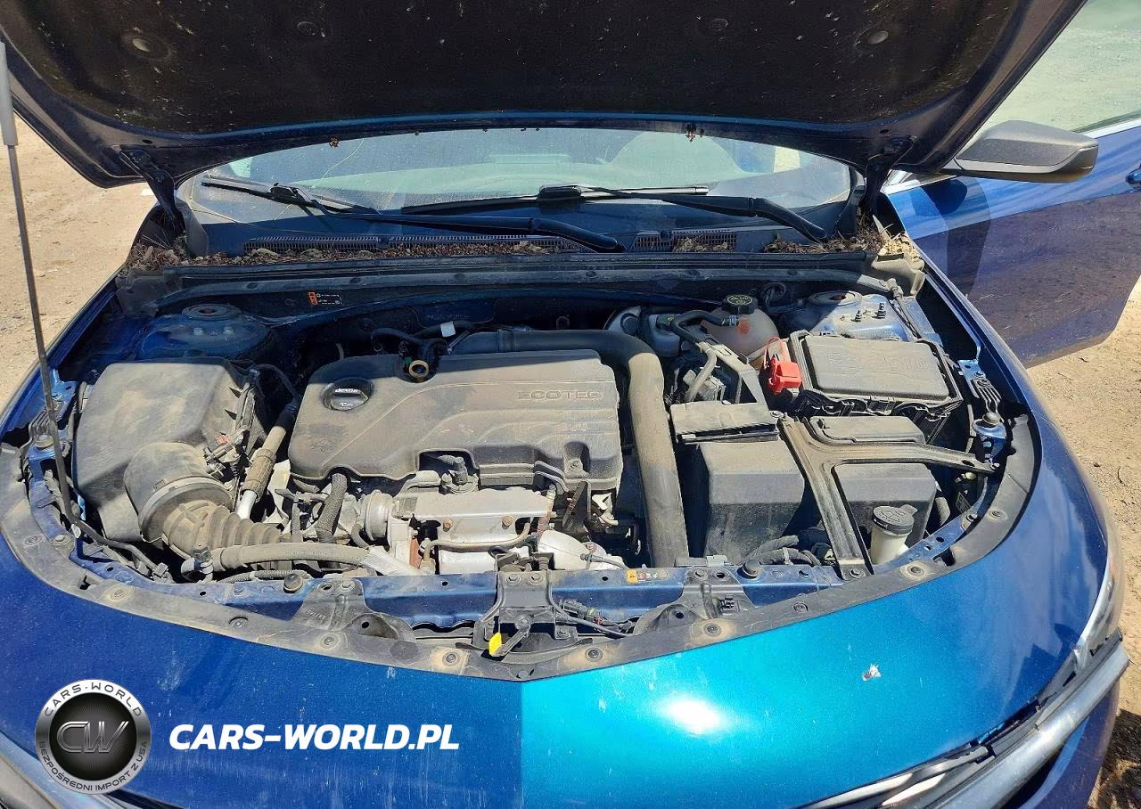 2019 Chevrolet Malibu Rs VIN:1G1ZG5ST1KF181335 - 11