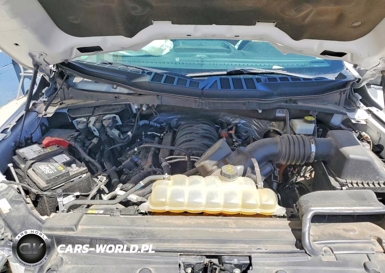 2022 Ford F150 Supercrew VIN:1FTFW1E54NFA94374 - 11