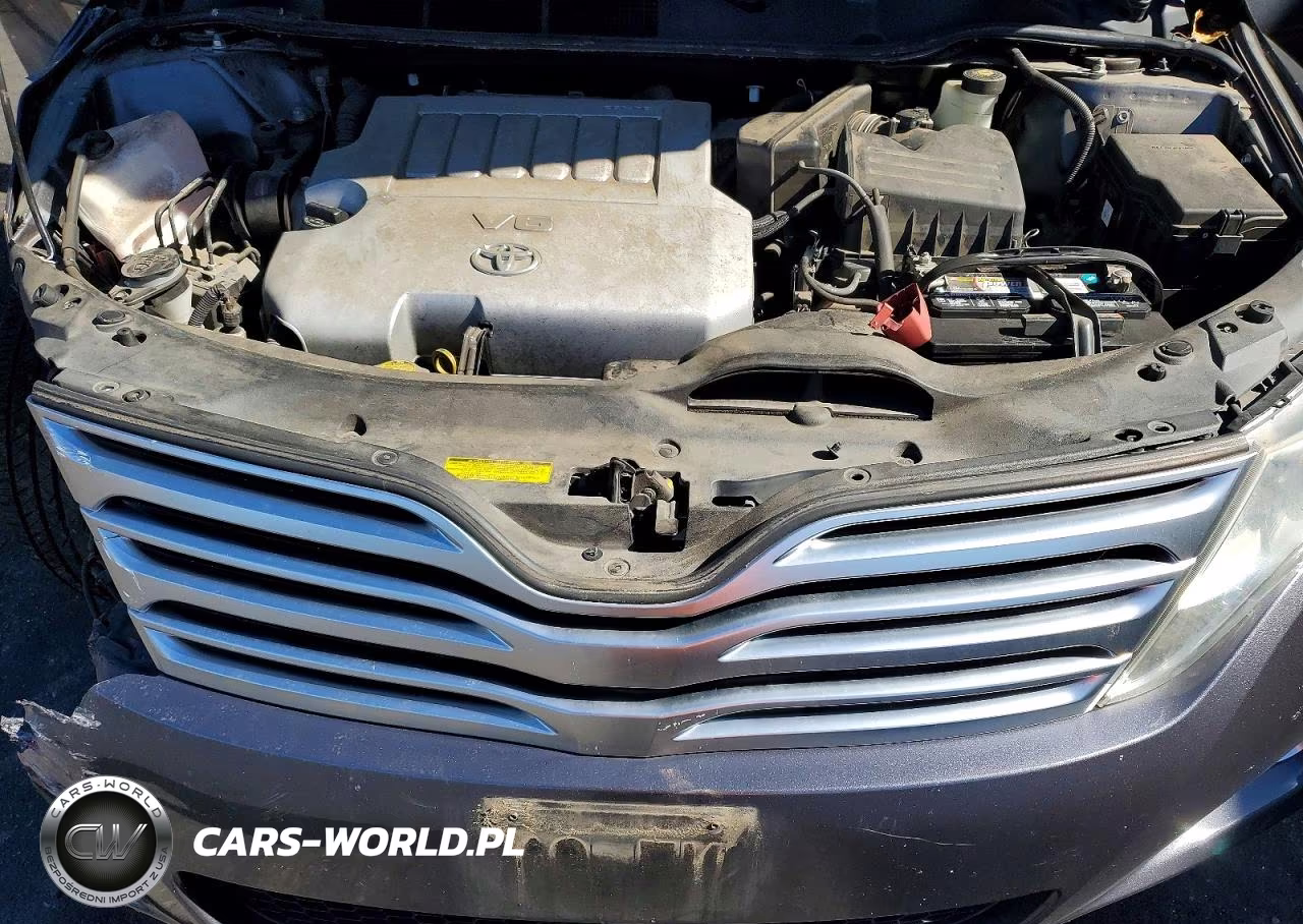 2010 Toyota Venza Fwd V6 VIN:4T3ZK3BB9AU028698 - 11
