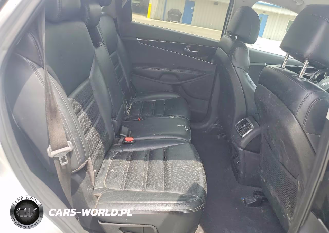 2017 Kia Sorento Lx VIN:5XYPGDA39HG273485 - 10