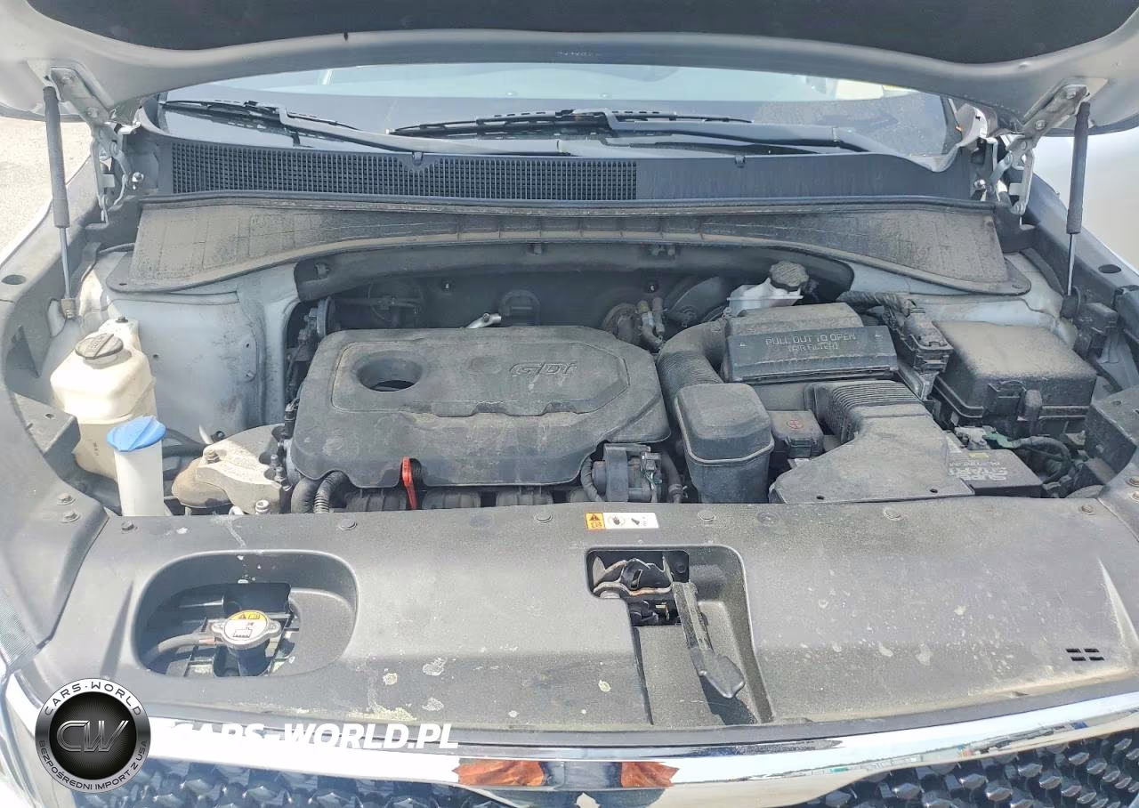 2017 Kia Sorento Lx VIN:5XYPGDA39HG273485 - 11