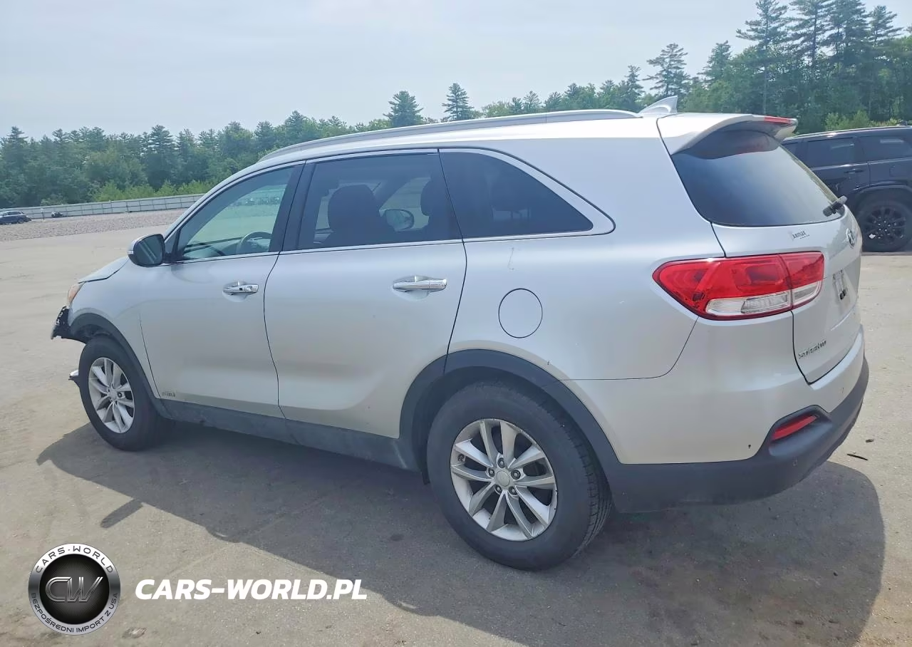 2017 Kia Sorento Lx VIN:5XYPGDA39HG273485 - 2