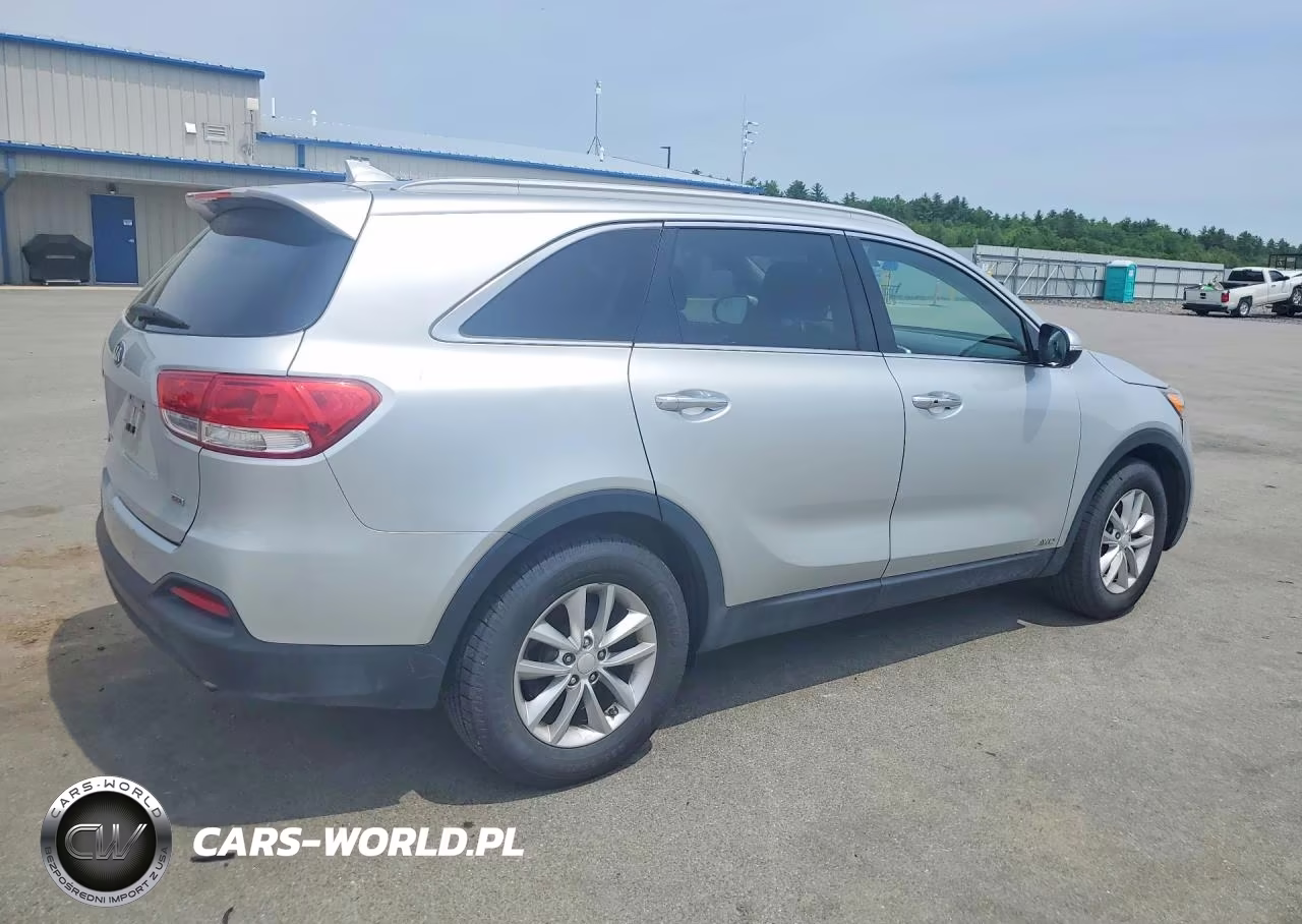 2017 Kia Sorento Lx VIN:5XYPGDA39HG273485 - 3
