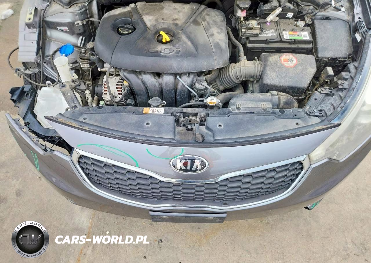 2015 Kia Forte Ex VIN:KNAFX4A83F5309195 - 11