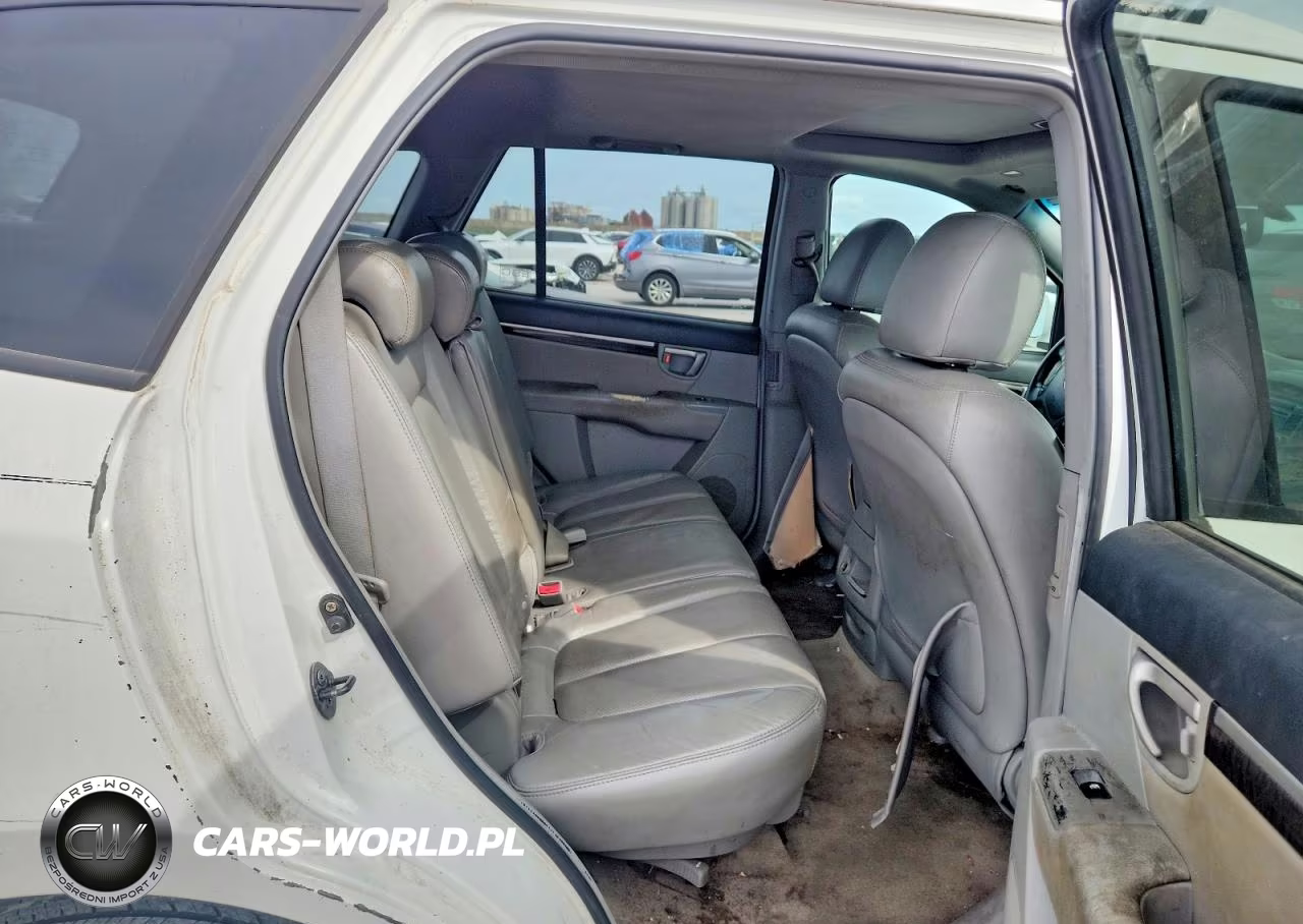 2007 Hyundai Santa Fe Se VIN:5NMSH13E57H018163 - 10